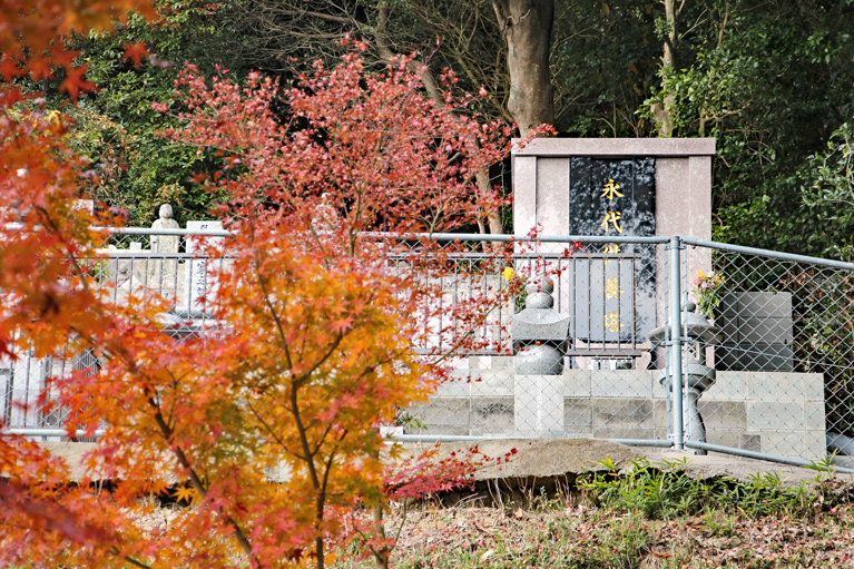 慈照院 永代供養塔